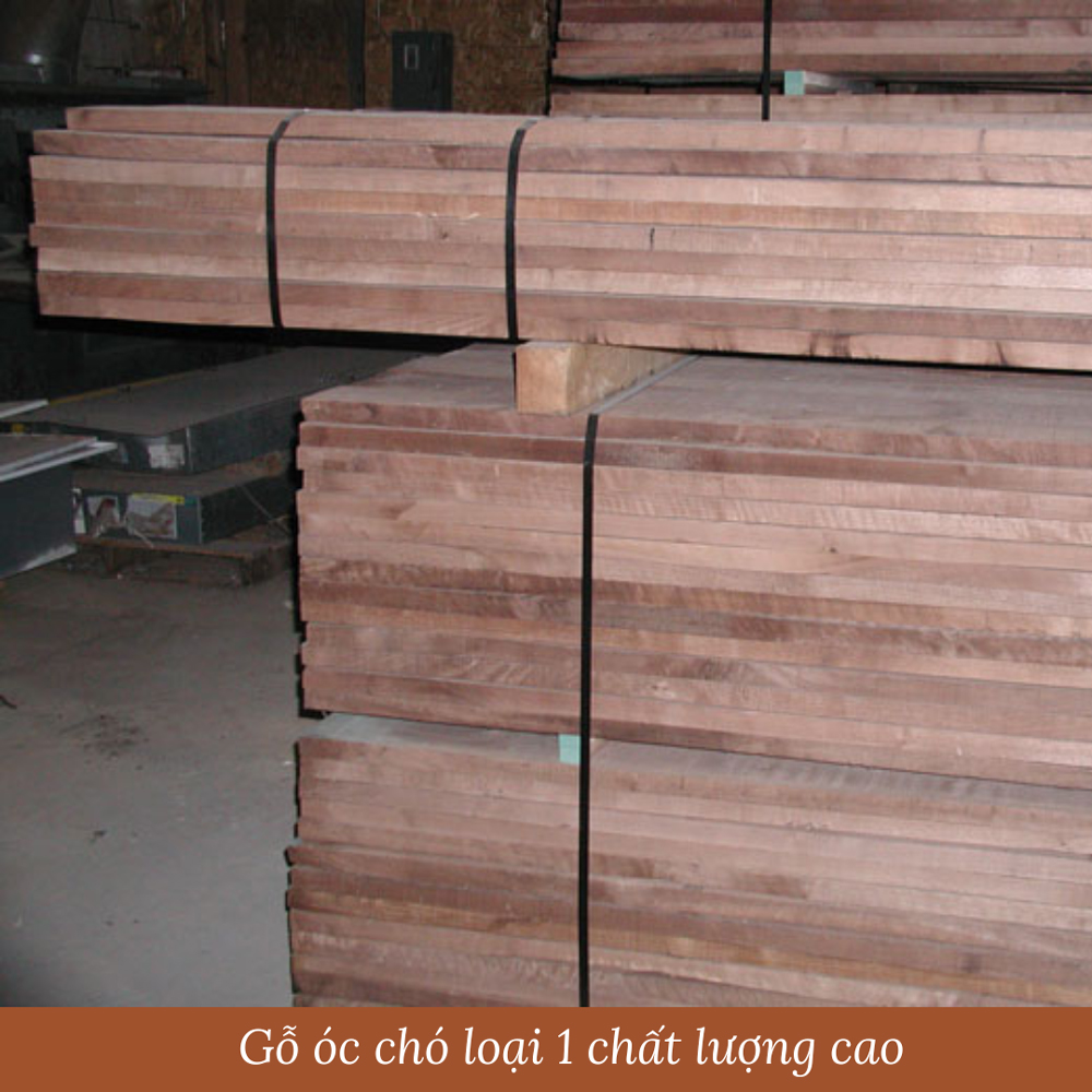 gi&aacute; của nội thất gỗ &oacute;c ch&oacute;