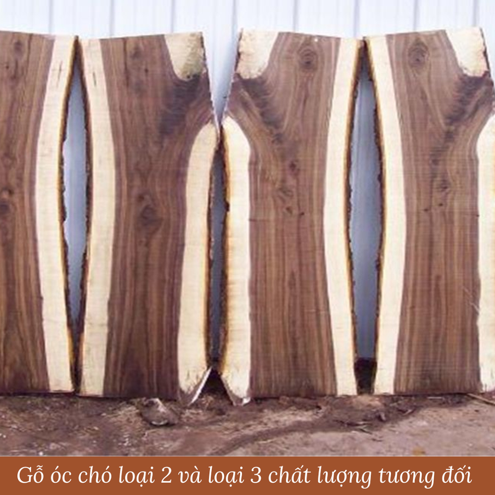 gỗ &oacute;c ch&oacute; loại 2, loại 3