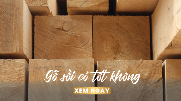 gỗ sồi có tốt không