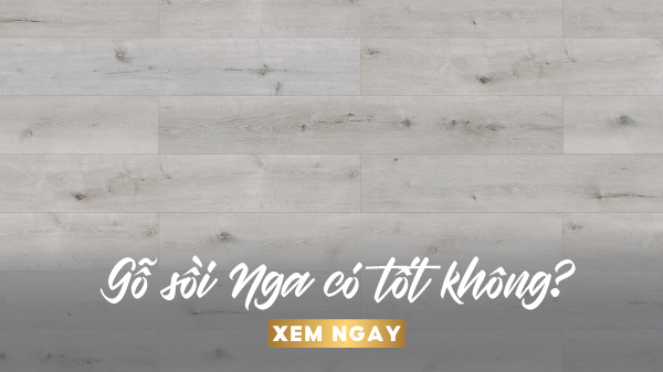 gỗ sồi nga có tốt không