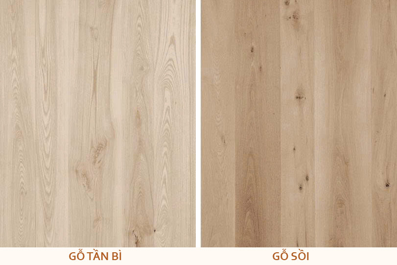 gỗ tần bì và gỗ sồi