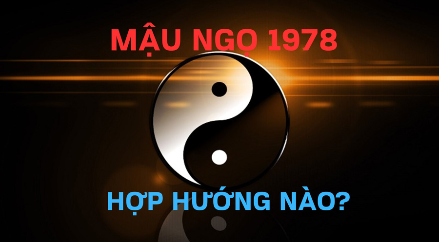 1978 hợp hướng nào, 1978 hợp hướng nào?