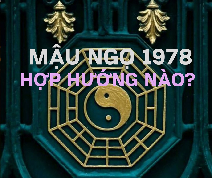 1978 hợp hướng nào, 1978 hợp hướng nào?