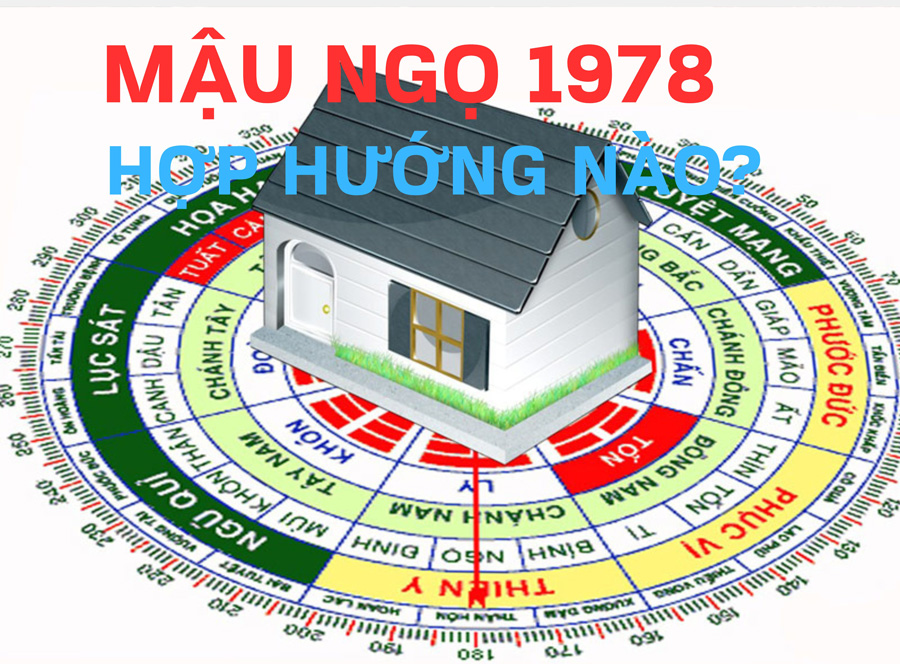 1978 hợp hướng nào, Mậu Ngọ 1978 hợp hướng nào?