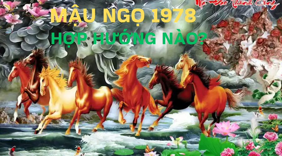 1978 hợp hướng nào, 1978 hợp hướng nào?