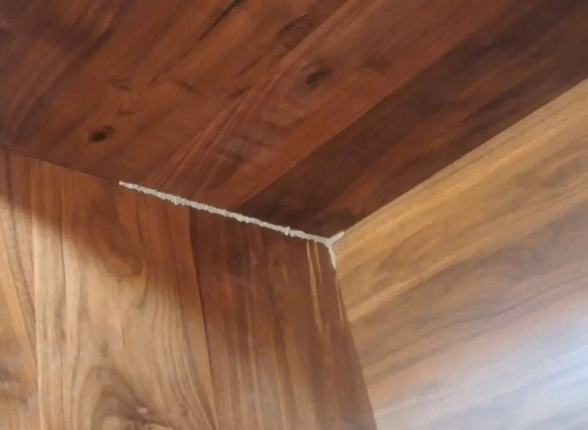 Trường hợp nào gỗ óc chó vẫn bị mối mọt tấn công