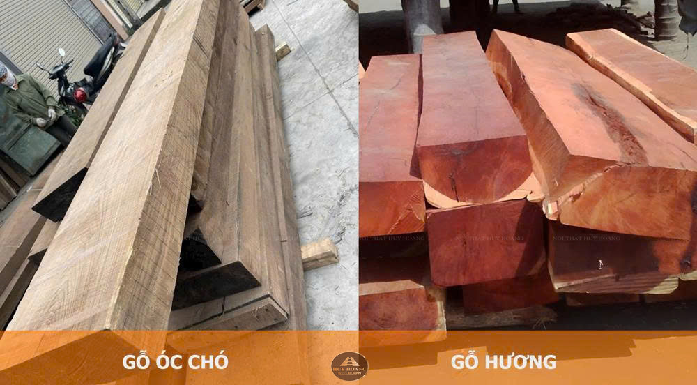 So sánh gỗ Óc Chó và gỗ Hương: đặc điểm, ứng dụng và giá