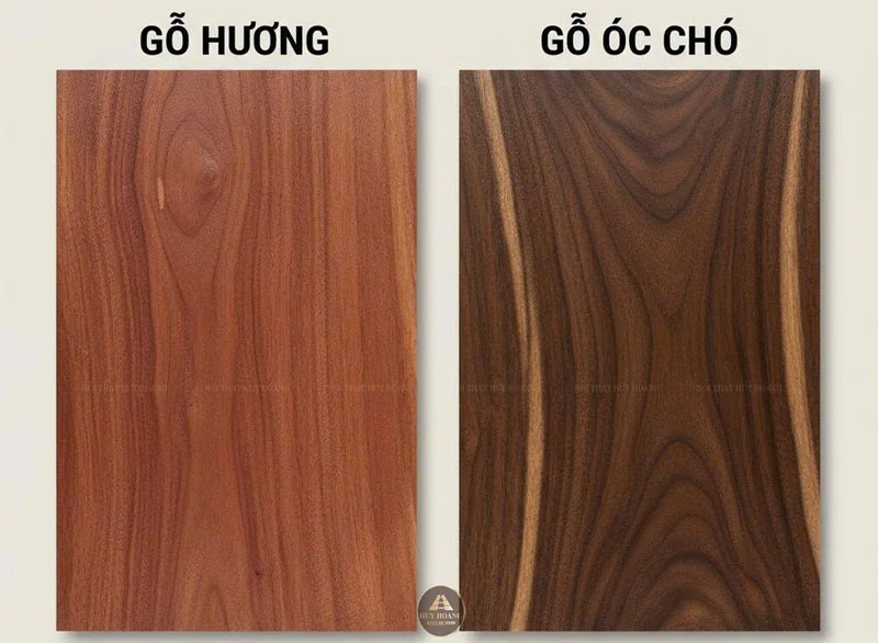 So s&aacute;nh v&acirc;n gỗ Hương v&agrave; vẫn gỗ &Oacute;c Ch&oacute;