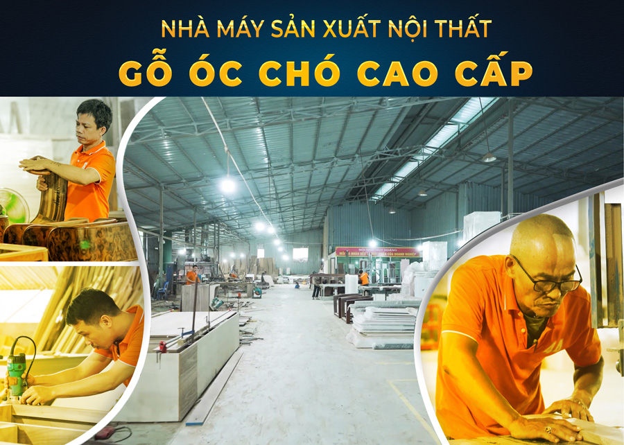 Xưởng sản xuất gỗ óc chó tại Hà Nội uy tín, chất lượng cao