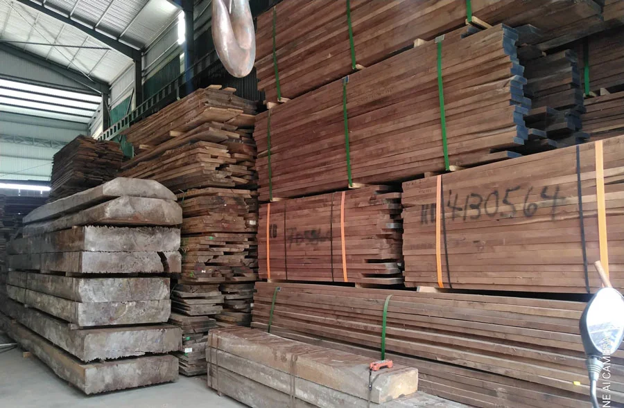 Gỗ &oacute;c ch&oacute; c&oacute; đắt kh&ocirc;ng