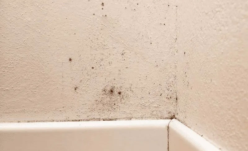 Tường v&agrave; c&aacute;c g&oacute;c khuất dễ ph&aacute;t sinh nấm mốc trong thời tiết nồm ẩm