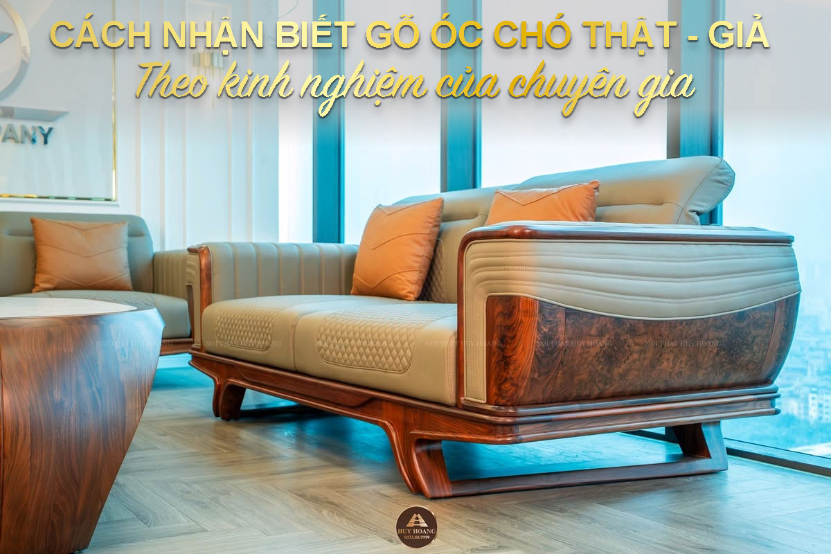 Hướng dẫn c&aacute;ch nhận biết gỗ &oacute;c ch&oacute; thật giả