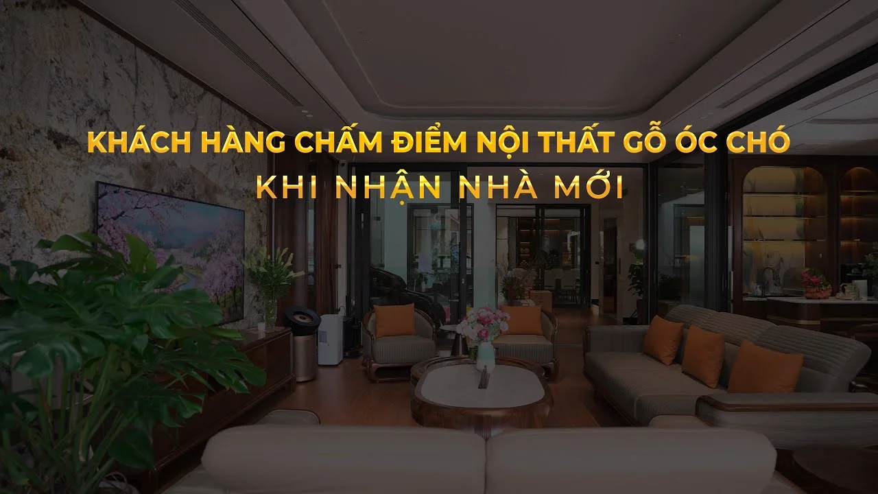 Khách hàng chấm điểm nội thất gỗ óc chó | Nội thất Huy Hoàng