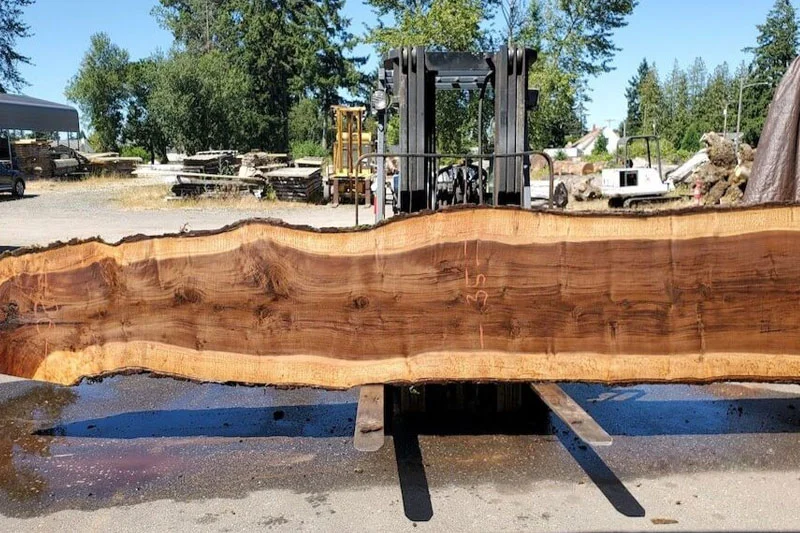 Gỗ &oacute;c ch&oacute; tự nhi&ecirc;n nổi bật với m&agrave;u n&acirc;u trầm sang trọng v&agrave; v&acirc;n gỗ đầy nghệ thuật