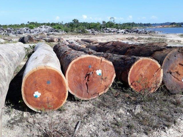 bàn ghế cuốn thư gỗ gõ đỏ