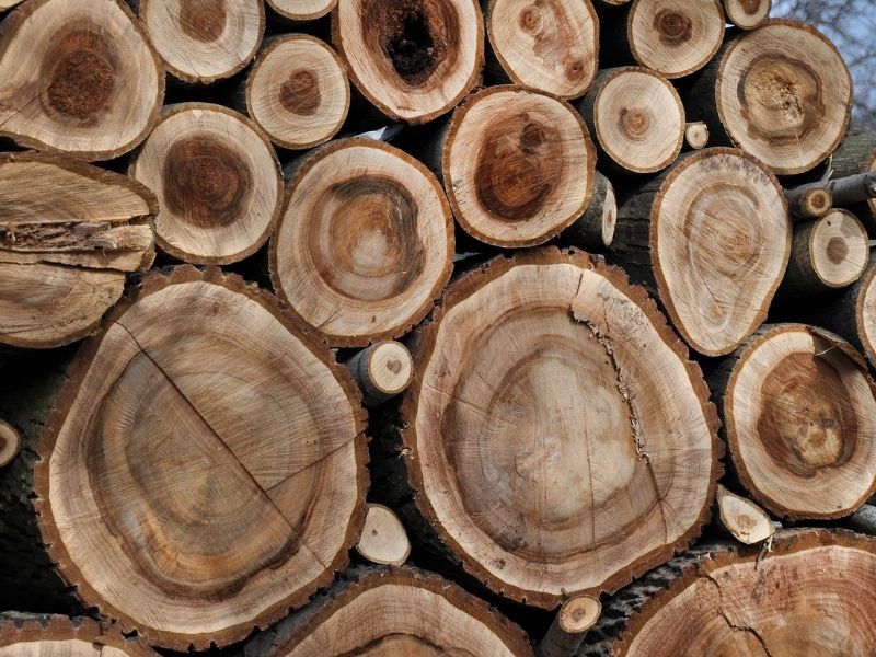 Gỗ óc chó texture:  Đặc điểm, phân loại và báo giá chi tiết