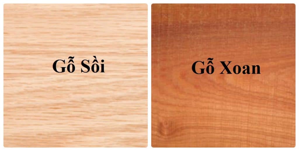 Tìm hiểu về gỗ sồi và xoan đào