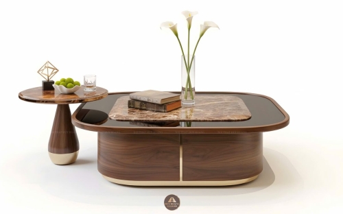 Bàn trà gỗ óc chó mẫu 12