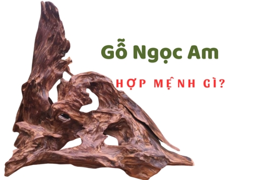 Gỗ Ngọc Am hợp mệnh gì? Không hợp mệnh gì?