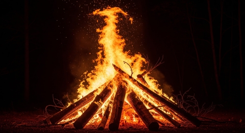 Mộc sinh Hoả trong thiết kế nội thất & 4 sai lầm nguy hiểm