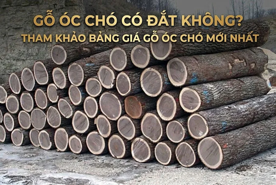 Gỗ óc chó có đắt không? Giá gỗ óc chó bao nhiêu tiền 1m3?