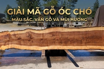 Gỗ Óc Chó Có Màu Gì, Mùi Gì | Cách Nhận Biết Gỗ Thật - Giả