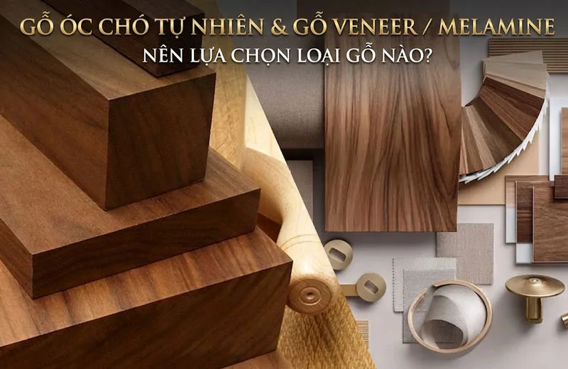 Phân biệt gỗ óc chó tự nhiên & gỗ MDF phủ Veneer/Melamine
